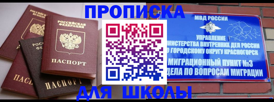 временная регистрация госуслуги в Опочке